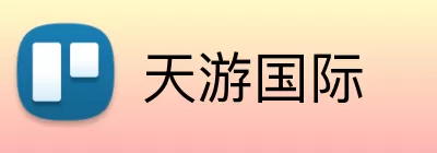 天游国际 Logo